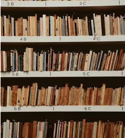 100 萬本公共領域書籍，為 AI 訓練提（tí）供合法數據